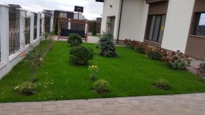 Paisagistica Gazon Irigatii 20